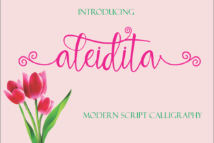 Aleidita: A Modern Script Font for Campaigns
