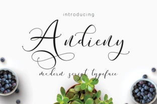 Andieny: A Hand-Lettered Typeface for Modern Brands