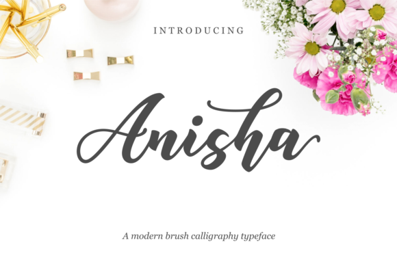 Anisha Font: Elevating Web Design with Modern Script