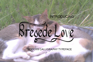 Bregede Love: A Modern Script Font for Editorial Design