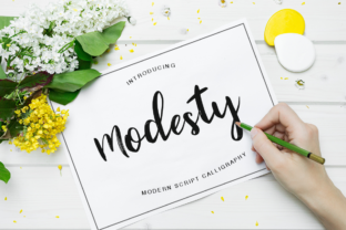 Modesty Font: Elevate Your Campaign Visuals