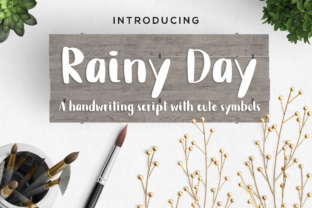 Rainy Day Typeface: Calm Script for Branding