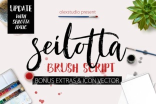 Seilotta: A Script Font That Elevates Campaigns