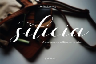 Silicia Font: Elevate Your Brand Identity