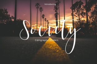 Society Script: A Designer’s Honest Review for Branding