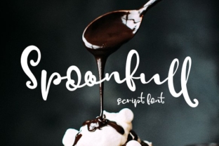 Spoonfull Review: A Designer’s Take on Script Amp