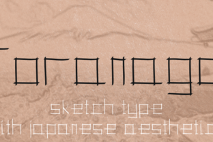 Toranaga Typeface: Elevate Your Brand Identity