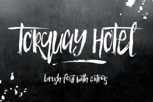 Torquay Hotel: A Handcrafted Script Font for Editorial Design