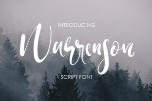 Warrenson: A Designer’s Honest Review for Branding