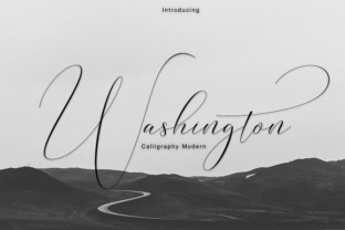 Washington Typeface: Elevating Campaign Visuals